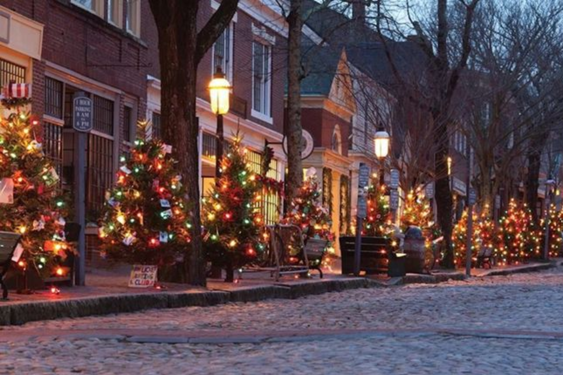 A row of christmas trees on a cobblestone street