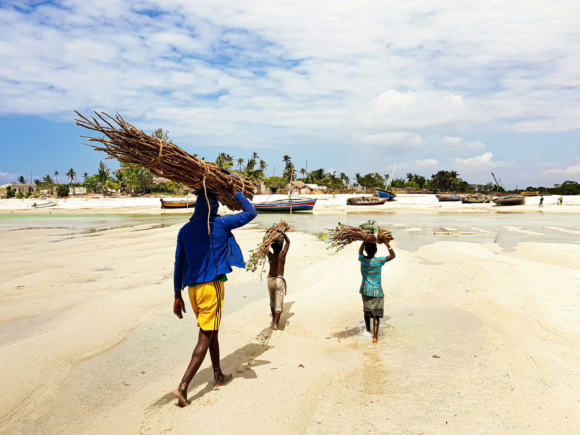 A group of people are walking on a beach carrying branches on their heads.