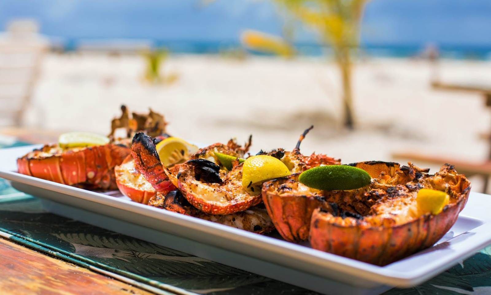 A white plate topped with grilled lobsters on a table.