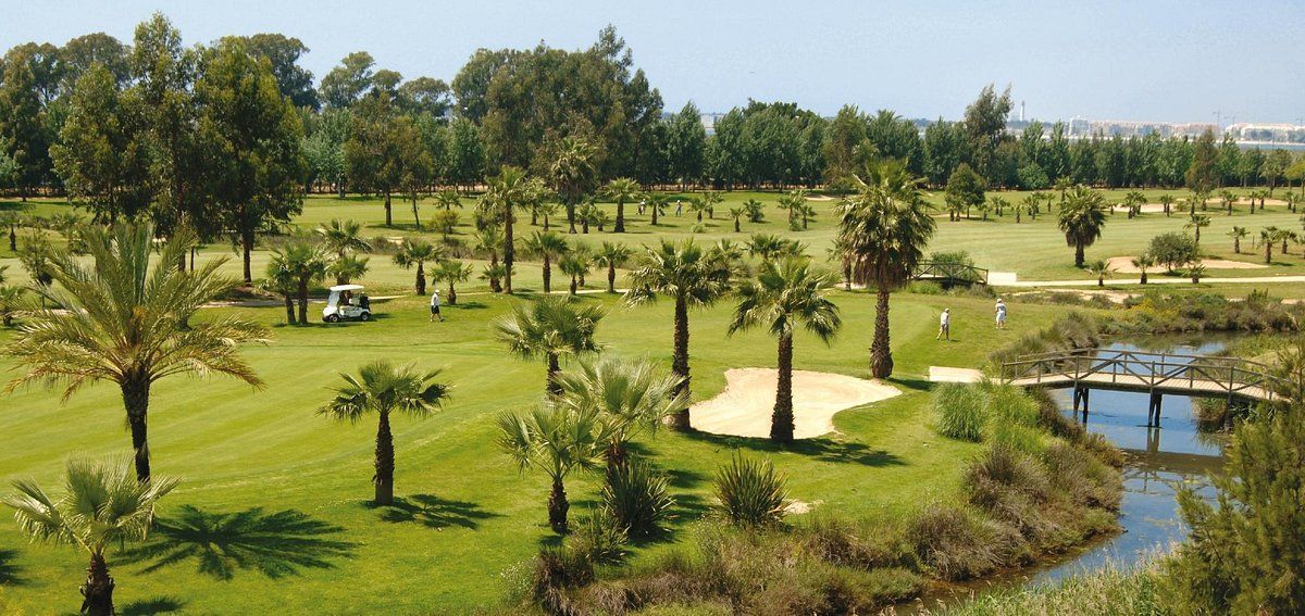 An aerial view of a golf course surrounded by palm trees