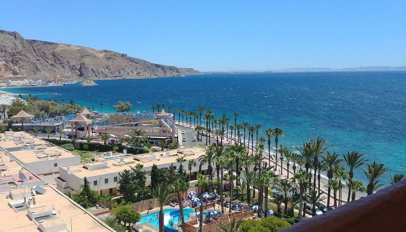 An aerial view of a beach with palm trees and a large body of water.