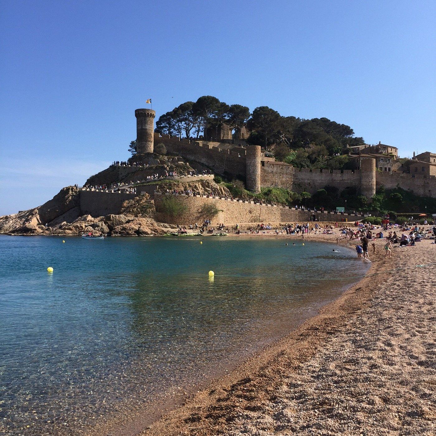 A beach with a large castle in the background