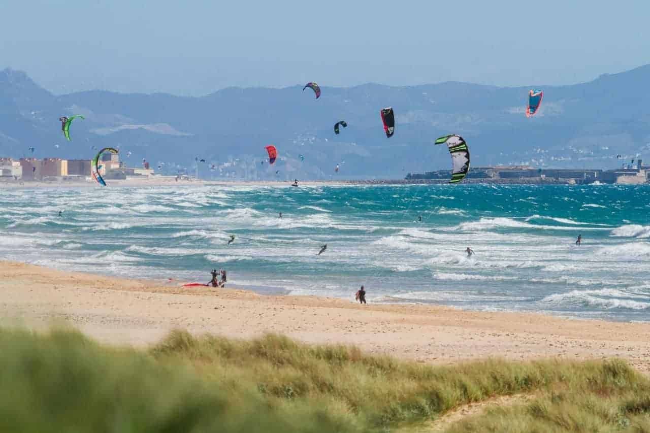 A group of people are kite surfing on a beach.