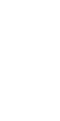 Bullet