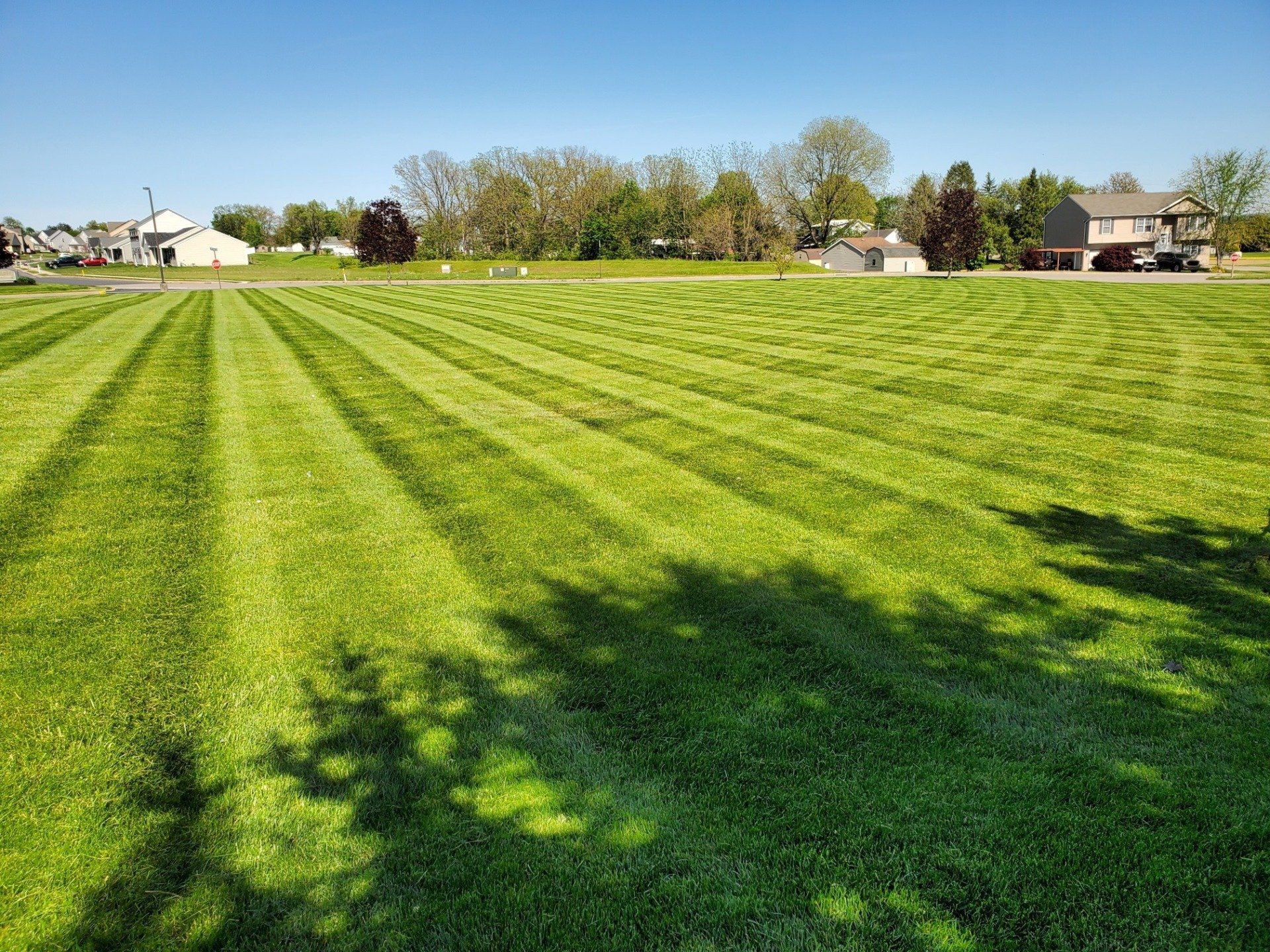 Freshly mown large greenfield