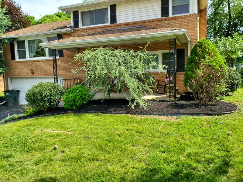 nicely trimmed bushes in front of the house