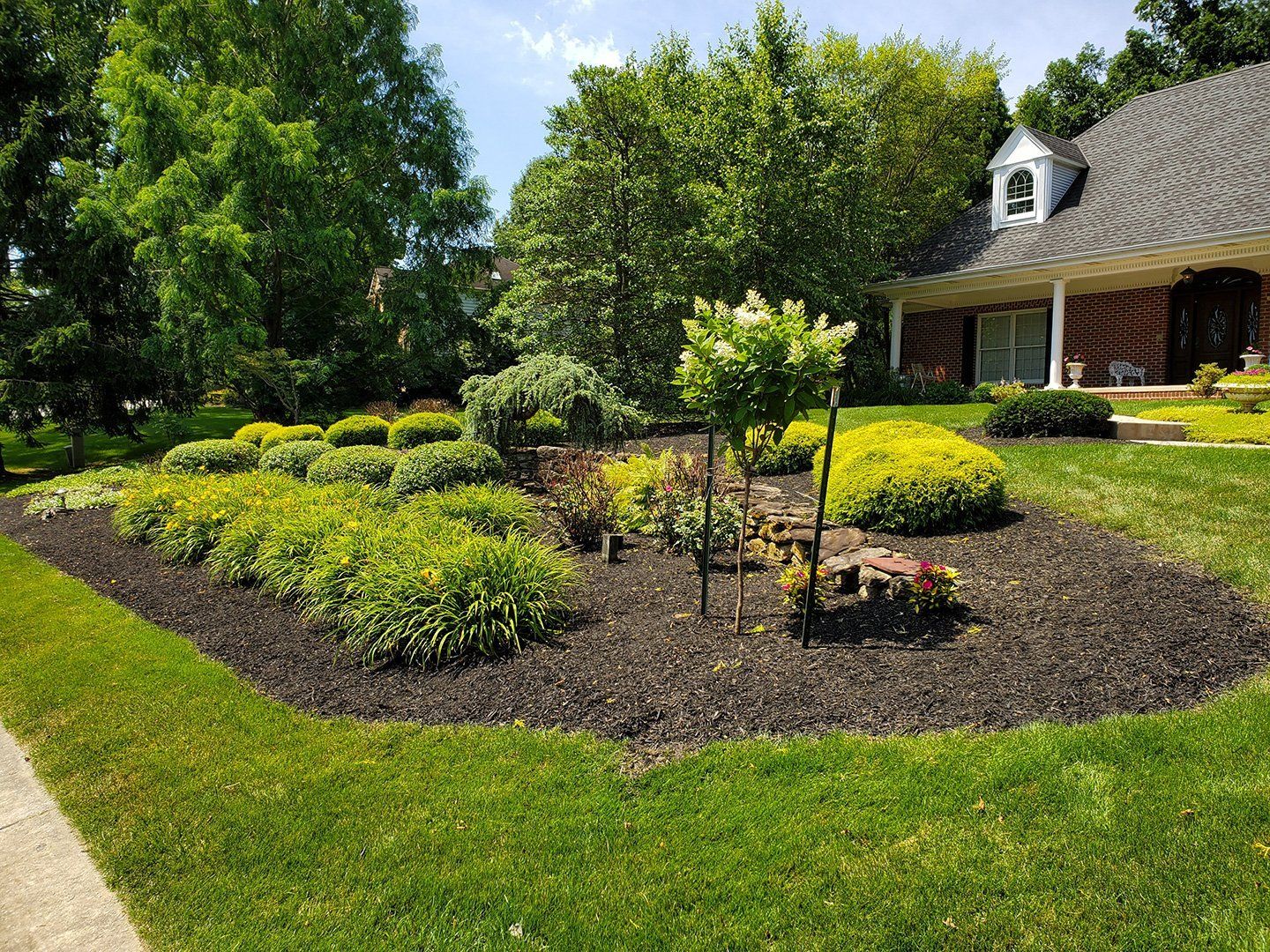 nicely trimmed bushes in front of the house