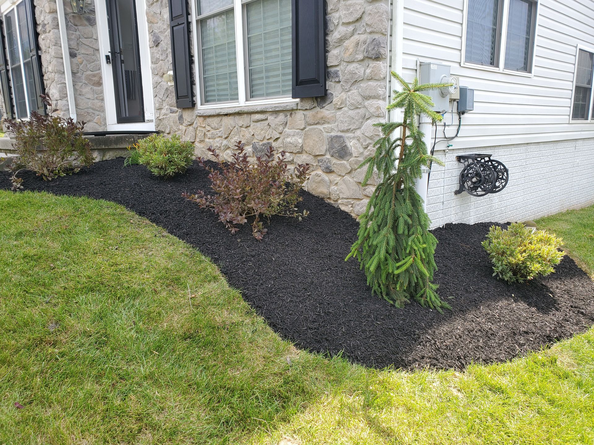 Professionally Installed Plants