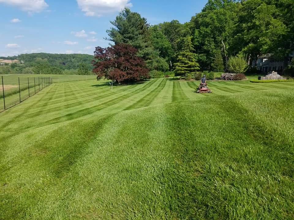 Man riding a lawn mower in a large greenfield