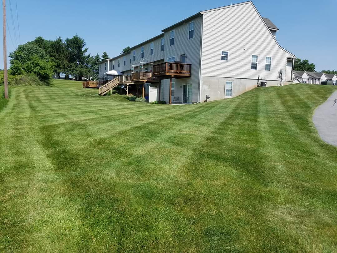 Well maintained green lawn in front of the apartment complex