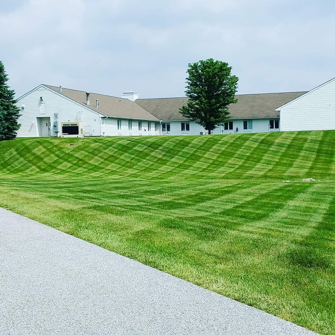 Well maintained green lawn in front of the residential area