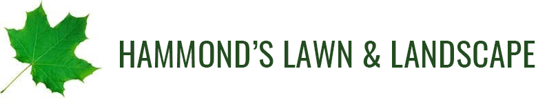 Hammond's Lawn & Landscape