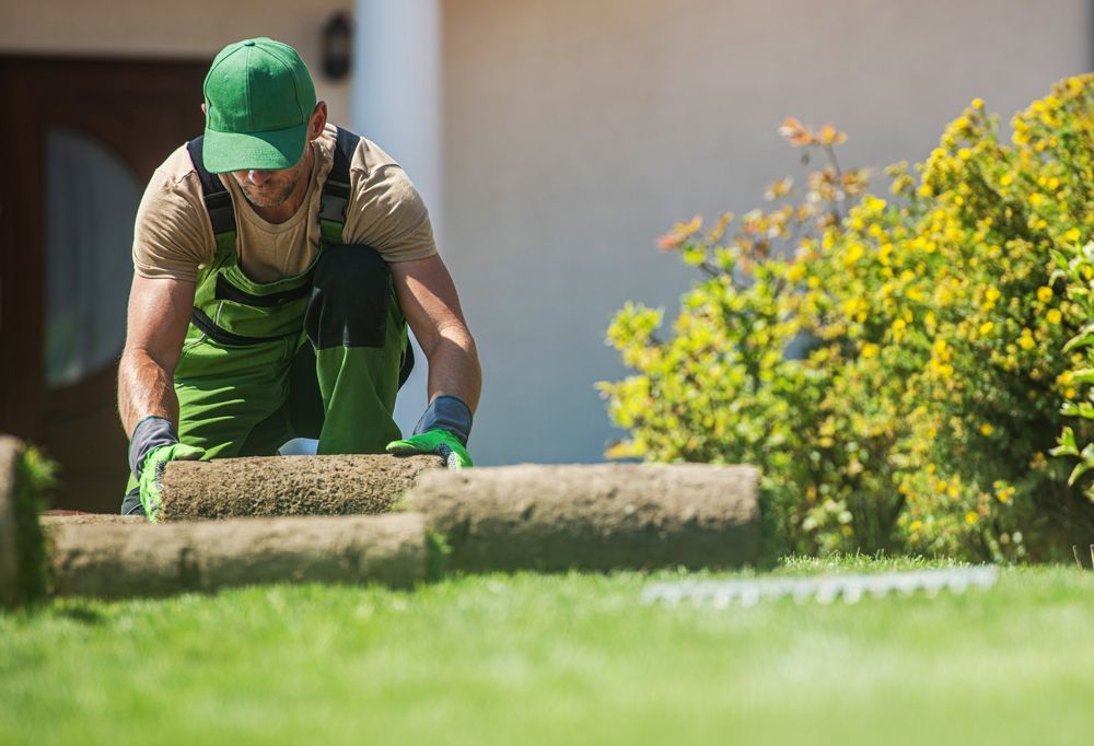 Professional Worker Installing Fresh Turf