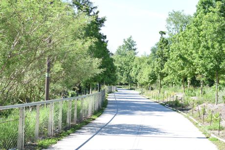 Tree-lined paved path of the Atlanta Beltline with white fence on the left and bright sunlight.