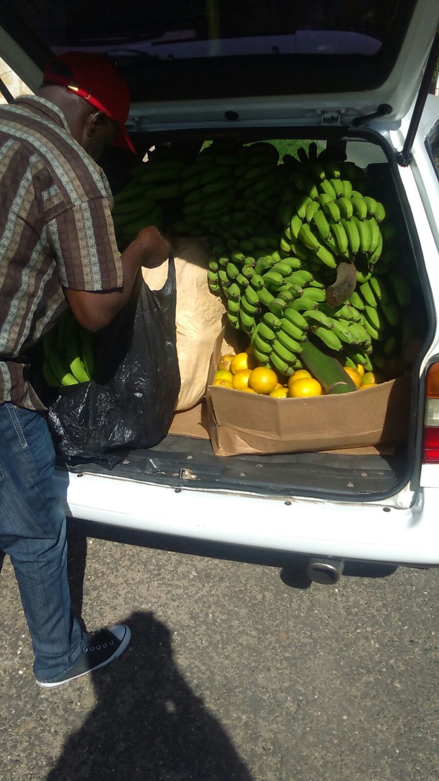 Community Food Distribution