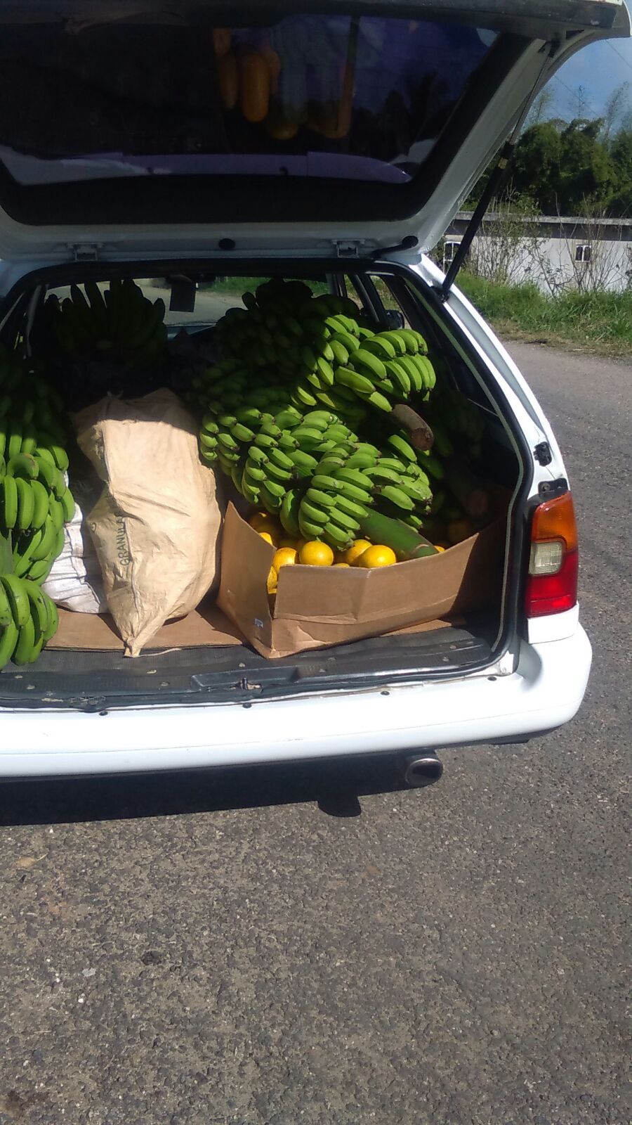 Community Food Distribution