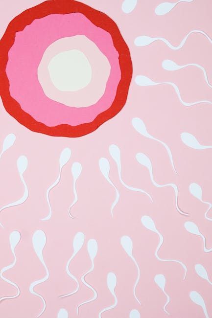 A step-by-step guide to the IVF process — from initial assessment through egg retrieval, fertilization, and embryo transfer — covering who it is recommended for and what to expect at every stage.