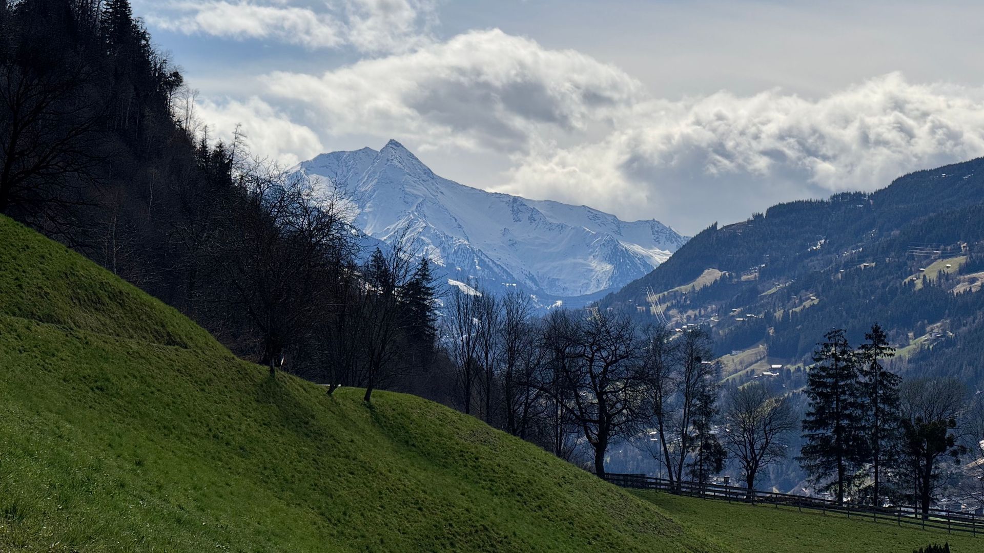 Snowy mountain peaks above a green hillside and bare trees under a cloudy sky