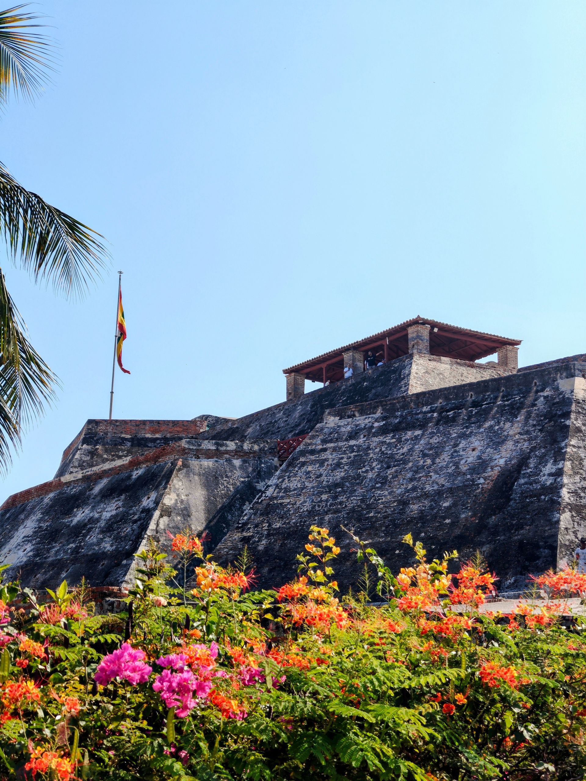Stone fortress wall above bright pink flowers under a clear blue sky