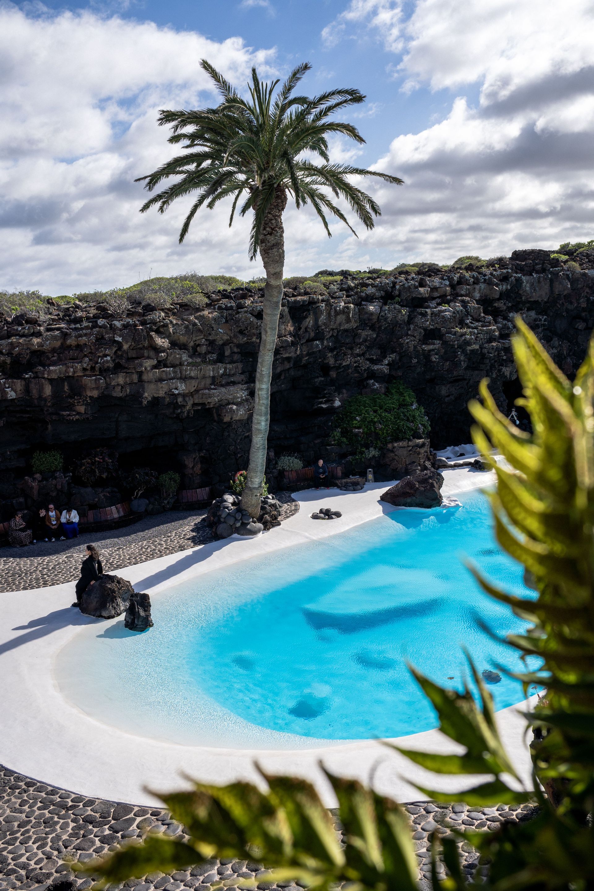 Palm tree beside a blue pool and stone wall under a cloudy sky