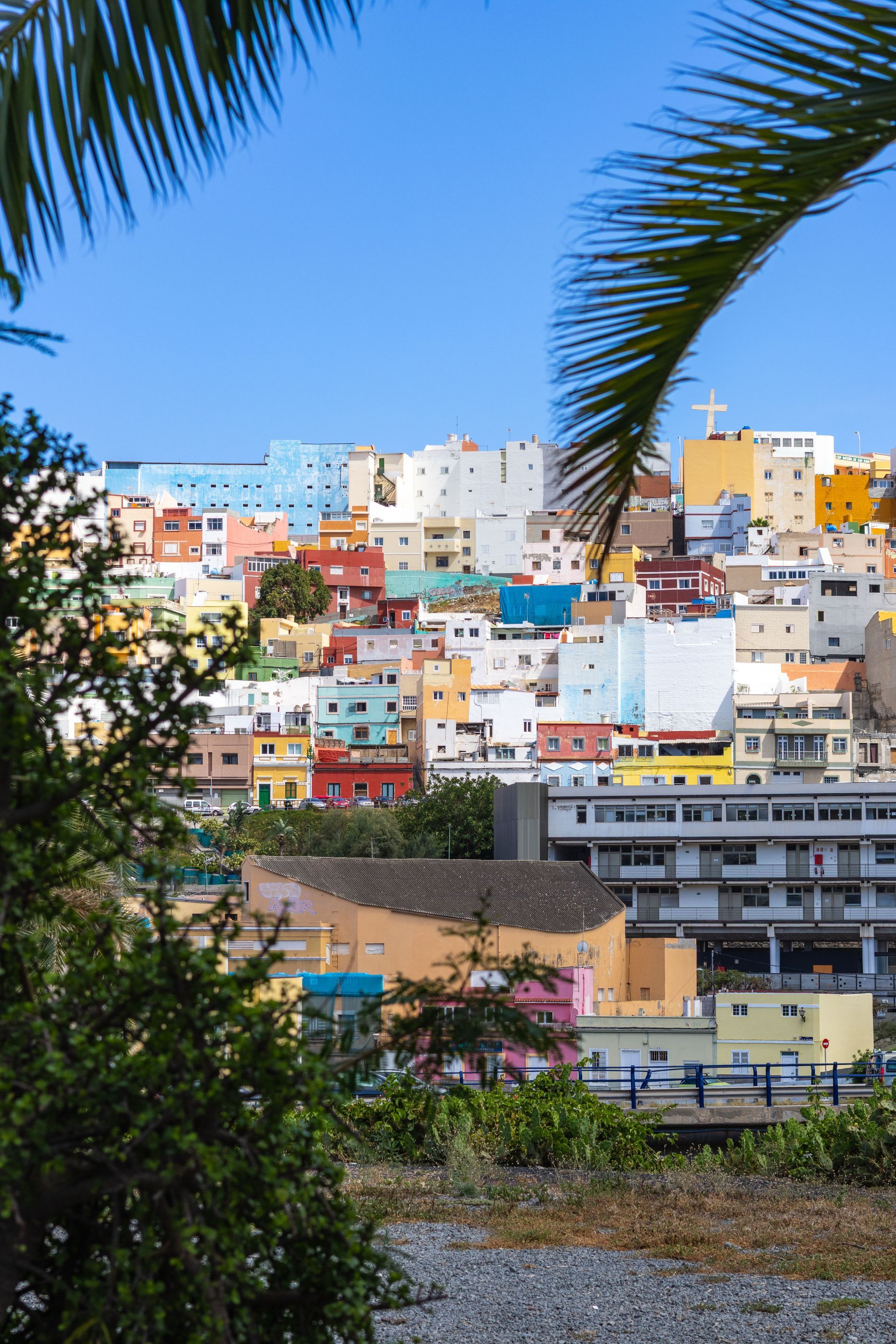 Colorful hillside town buildings under blue sky, framed by palm fronds and trees