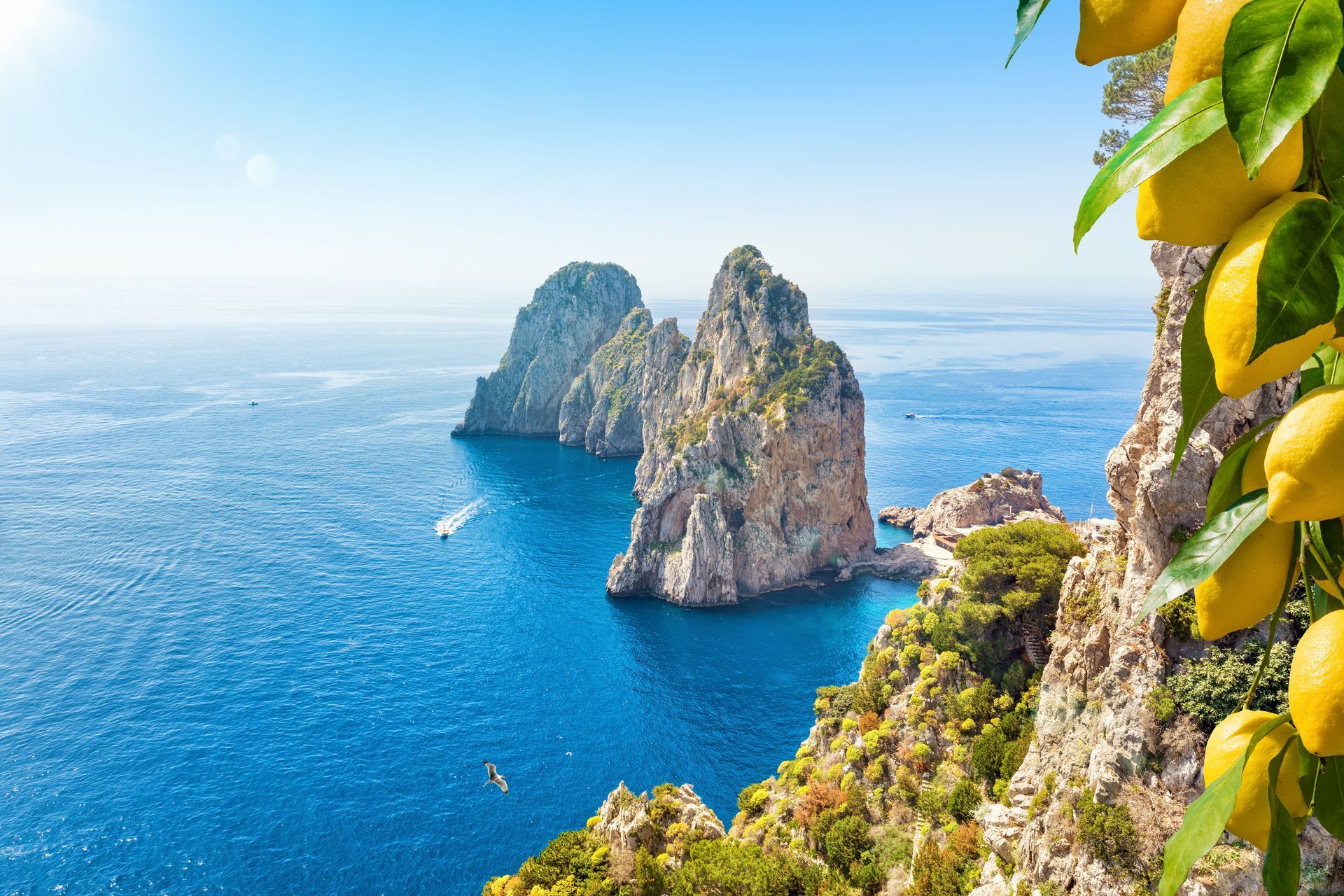 Blue sea and rocky sea stacks beside a sunny cliff with lemon trees in the foreground