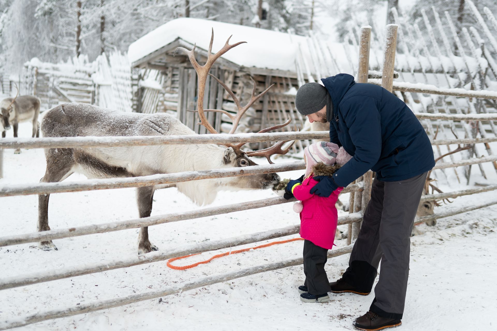 Lapland