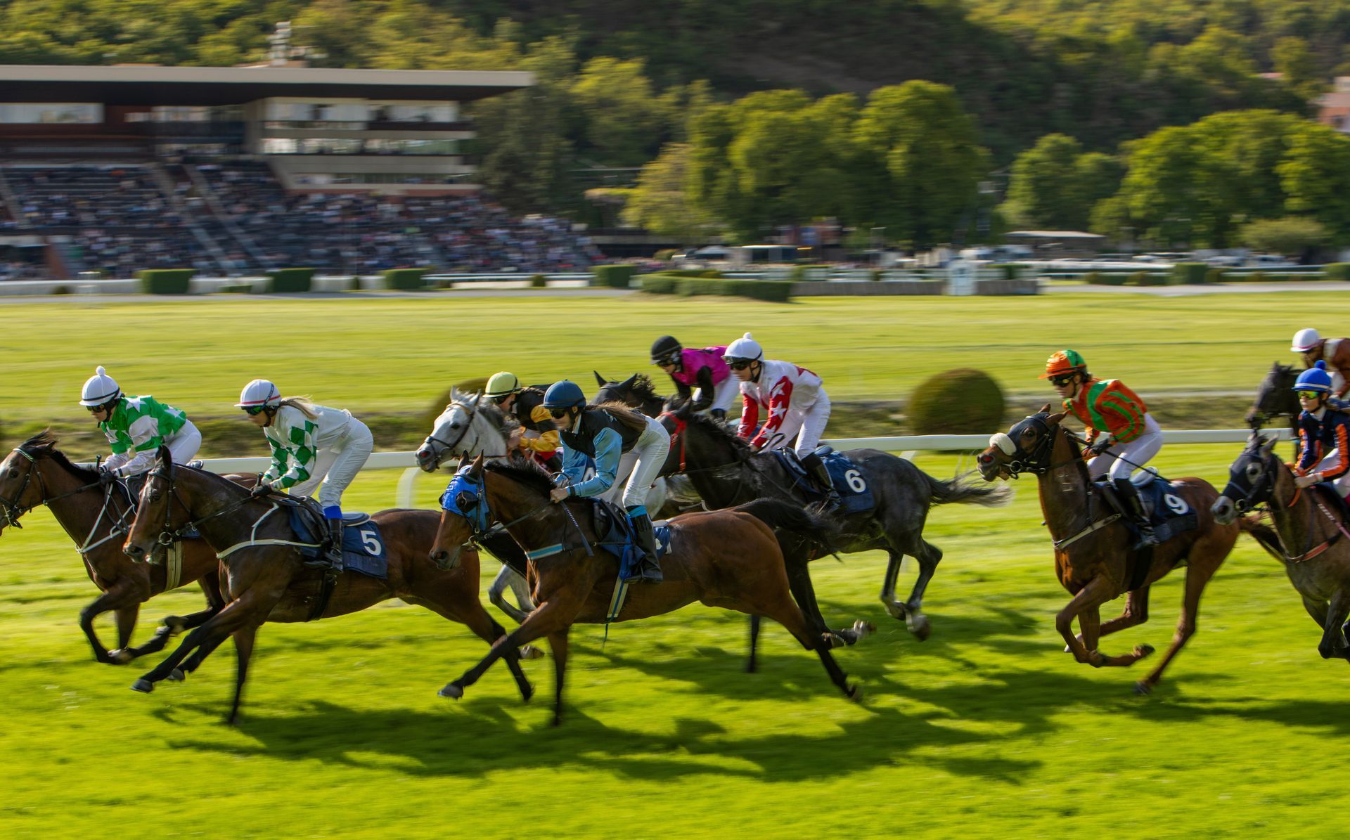 Horse race with jockeys on galloping horses across a green track, spectators blurred in the background.