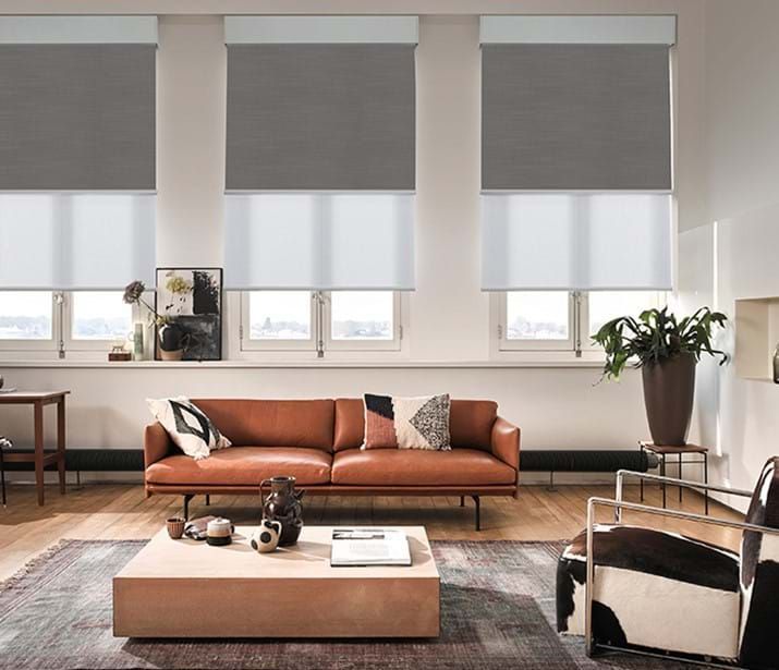 Contemporary living room with roller blinds, a brown sofa, and modern decor.