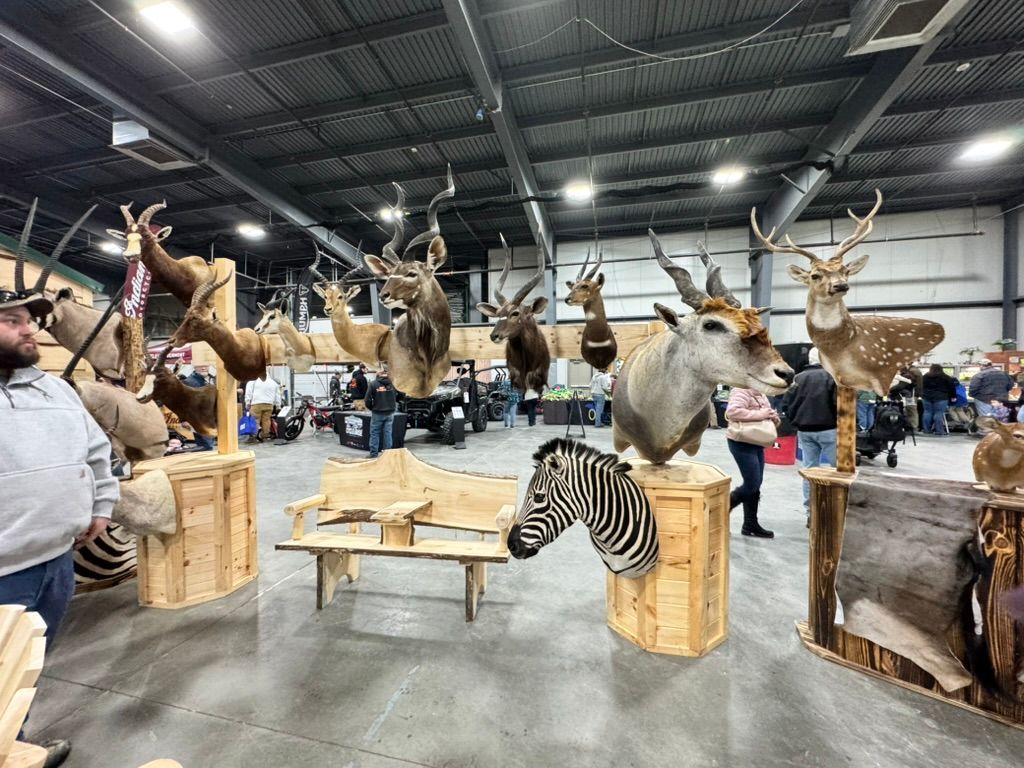 Taxidermy display at a show: animal heads mounted on wood stands. People browse the exhibit in a large indoor space.