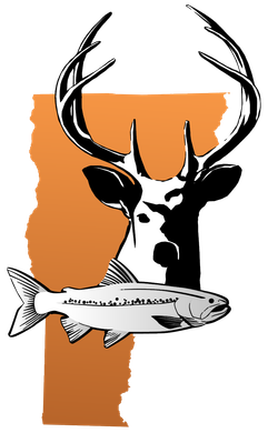 A black and white drawing of a deer and a fish