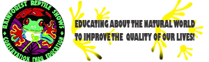 Logo with a green tree frog, the words 