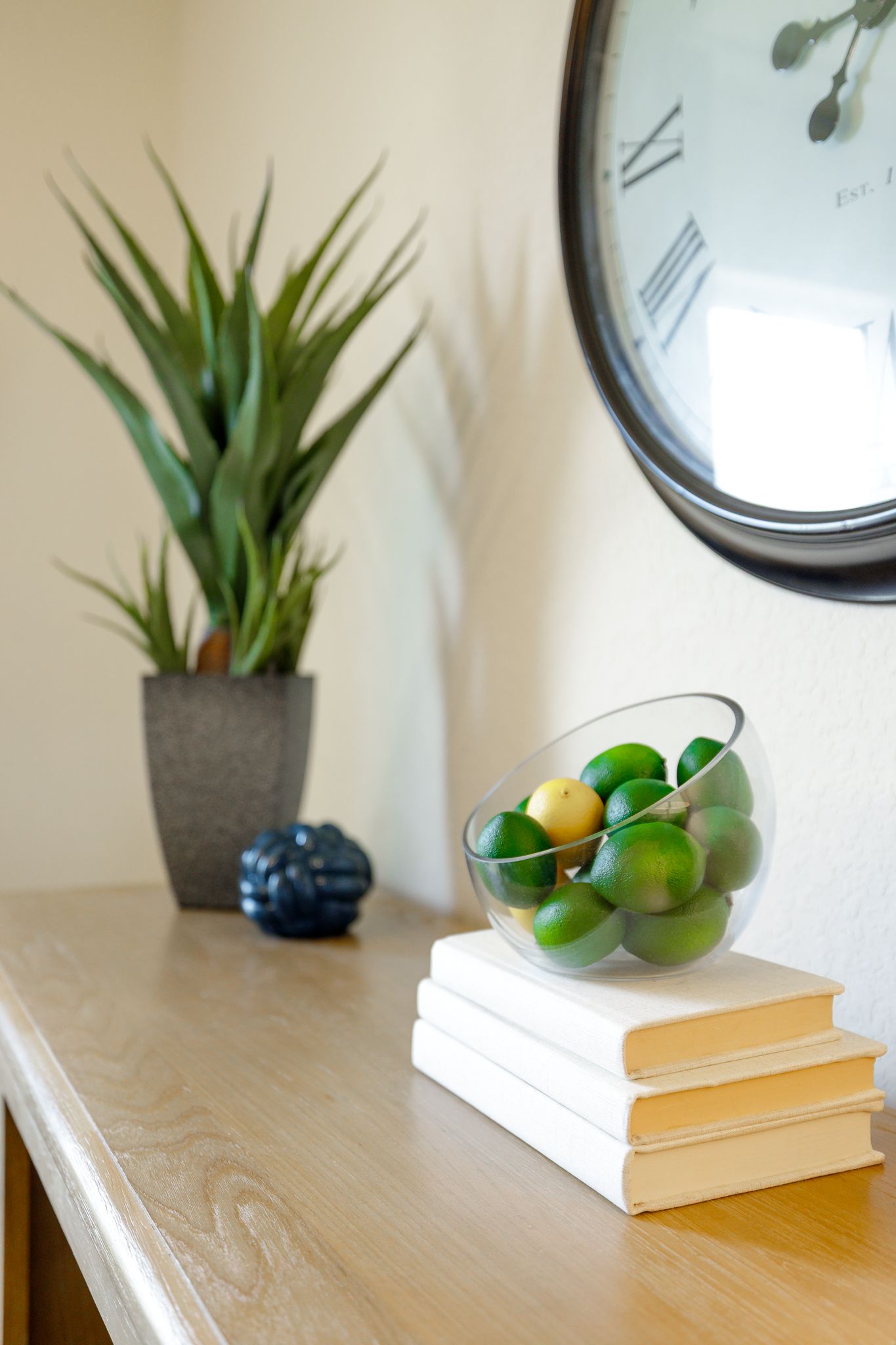 A living room with a couch, chairs, and a plant.