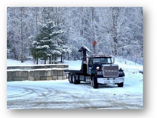 Dump truck parked on a snowy road beside a snow-covered forest.