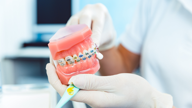 Dentist in gloves holding a dental model in a clinic