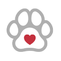 Struttura pet friendly