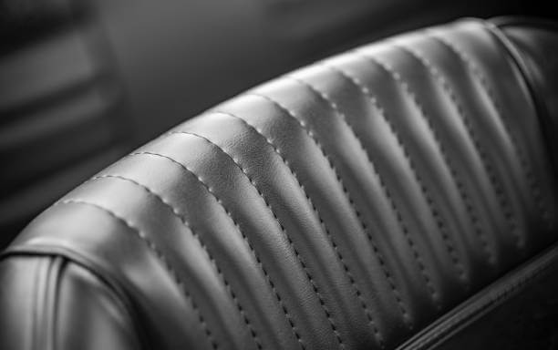 Una fotografía en blanco y negro del asiento trasero de un automóvil.