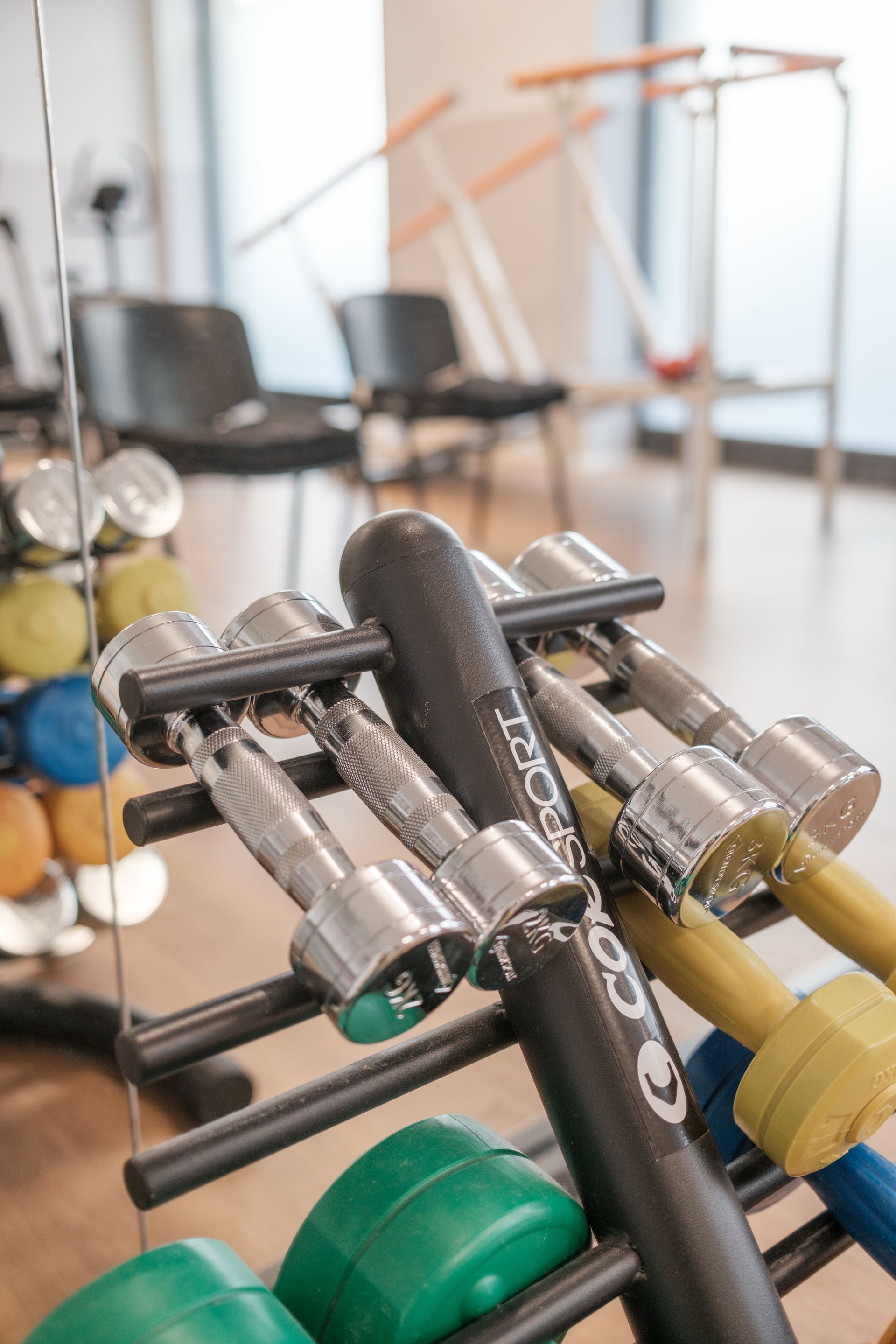 Un mucchio di manubri è appoggiato su un supporto in una palestra.