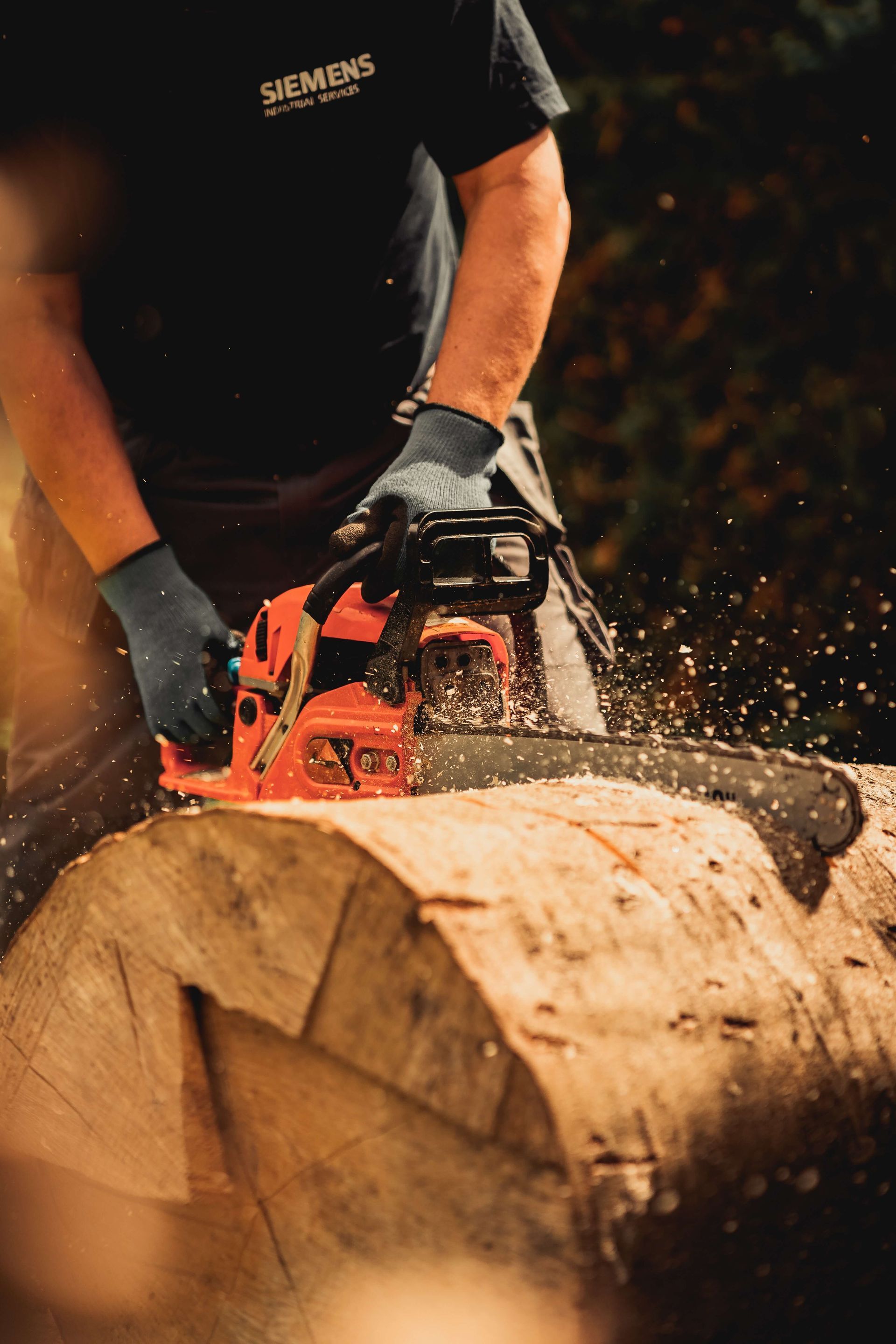 arborist in hattiesburg mississippi hattiesburg tree services chainsaw to cut tree logs tree removal and stump grinding