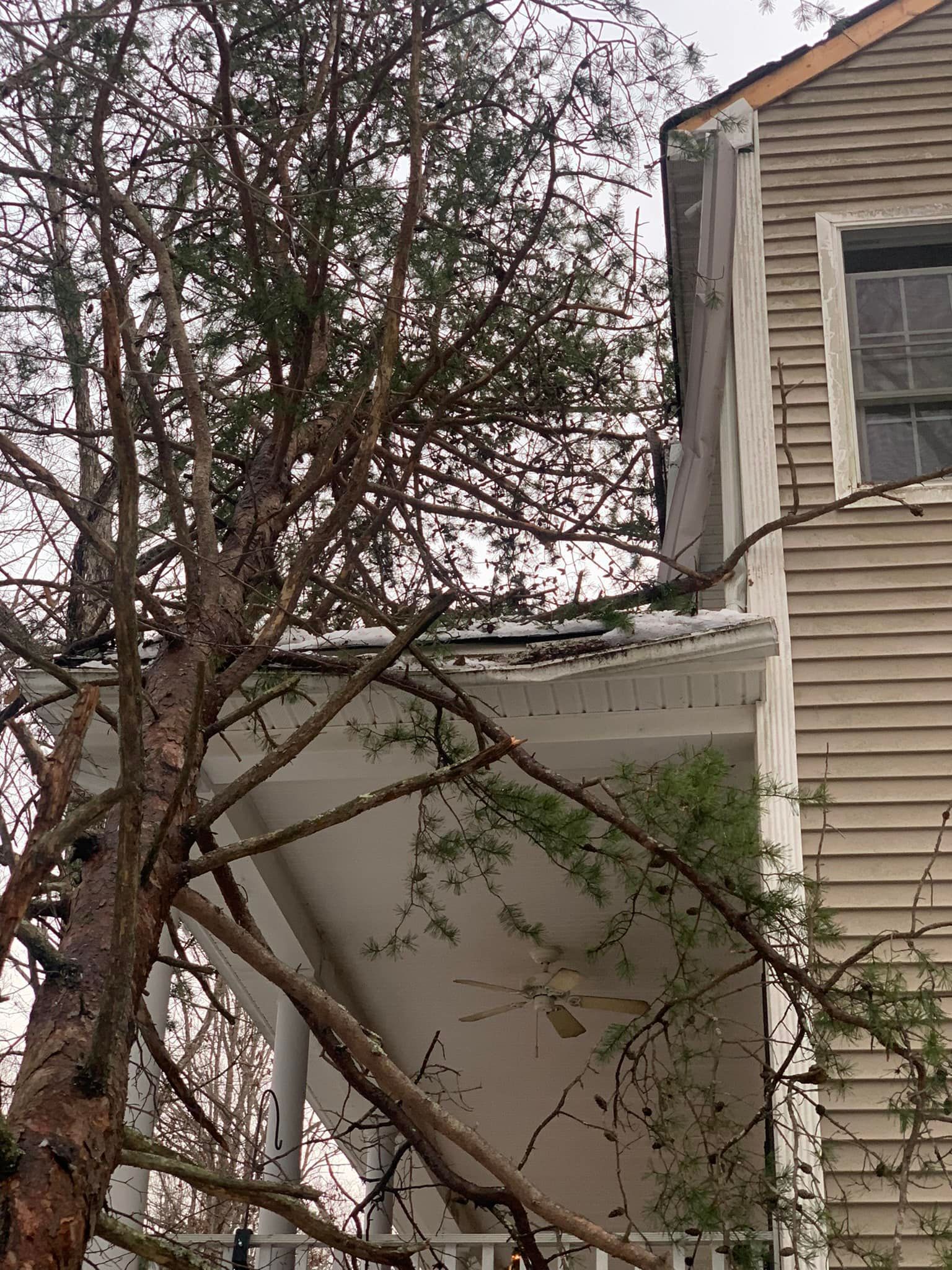 emergency tree removal chesterfield virginia