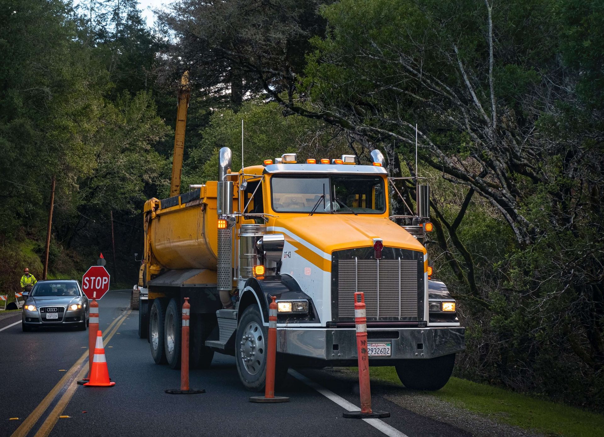 arborists in hattiesburg mississippi hattiesburg tree services emergency tree services and storm damage cleanup