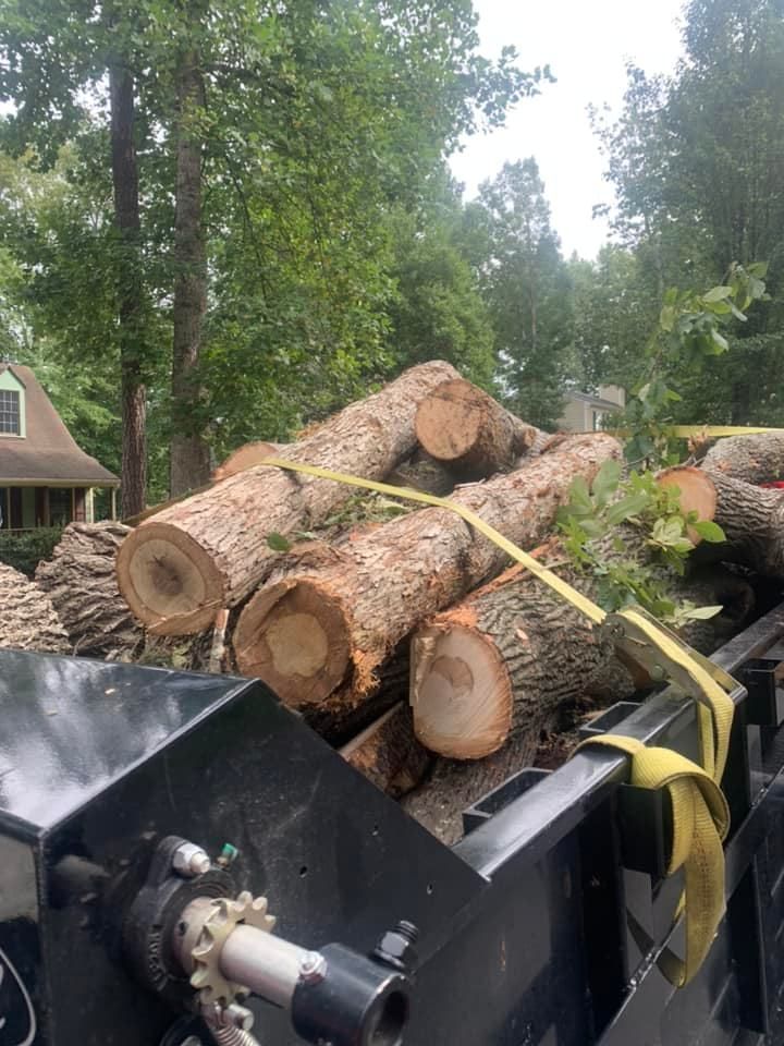 emergency tree removal lumberton ms, emergency tree services lumberton ms, storm damage cleanup lumberton ms, tree removal lumberton ms