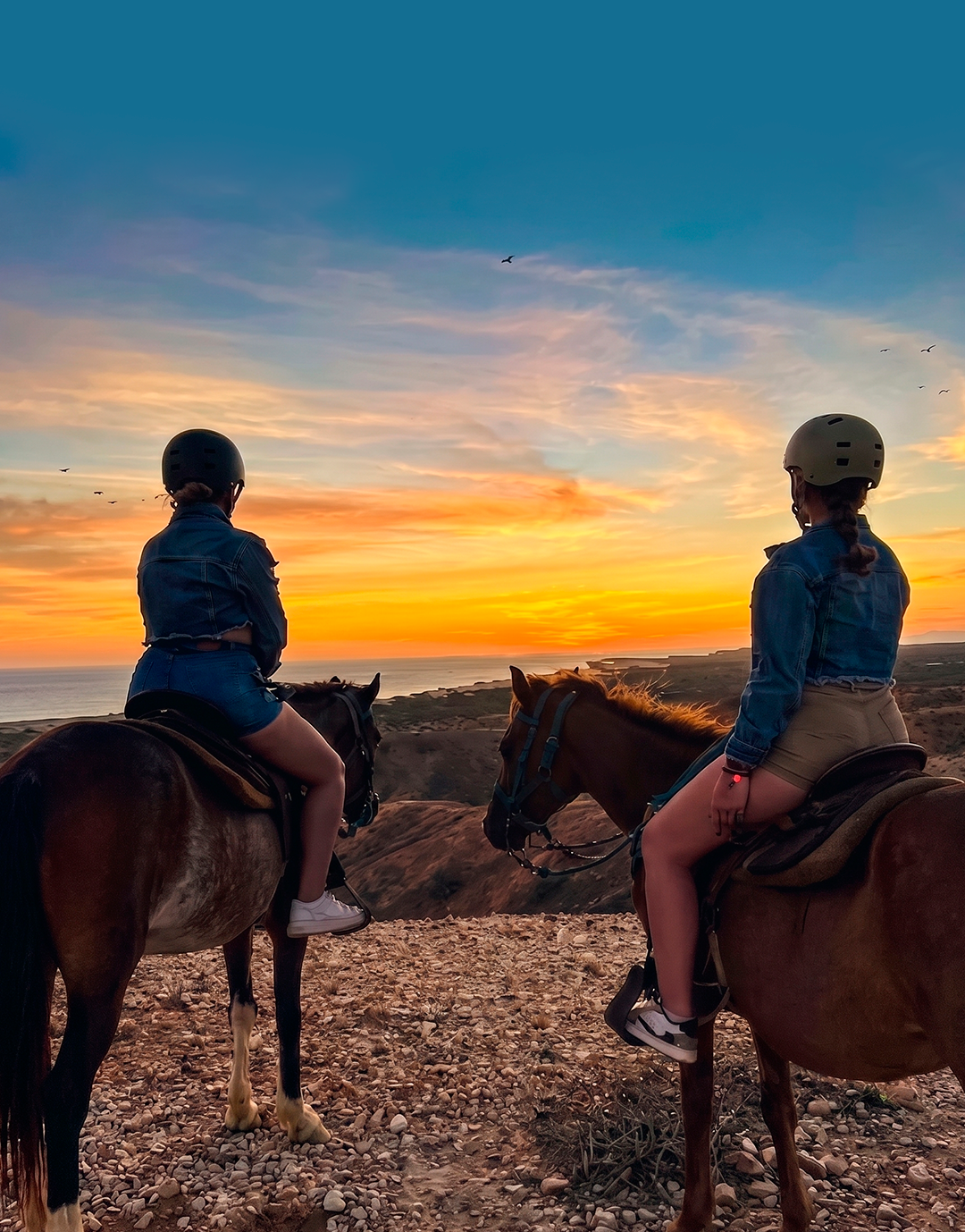 Excursión ecuestre en paisajes naturales de Isla Margarita, disfrute y aventura.