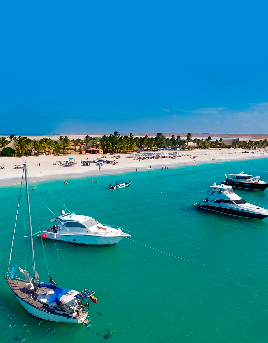 Playa serena de Isla de Coche, un paraíso de aguas azules y arenas blancas.