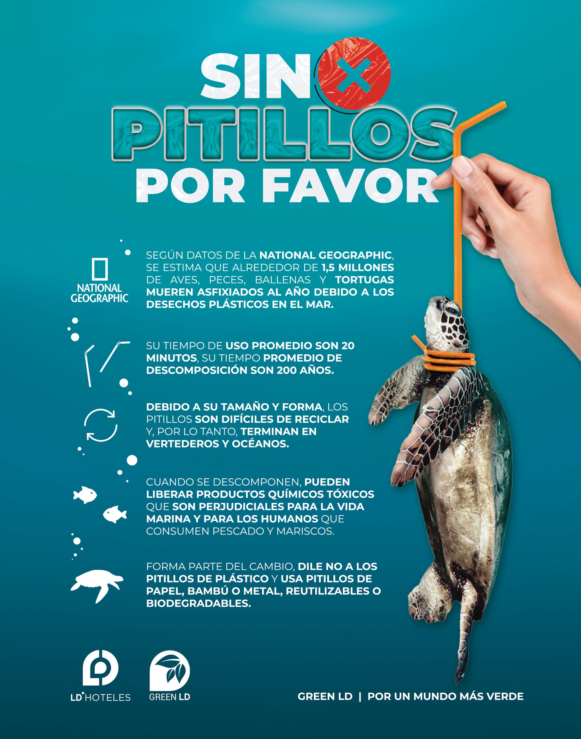 Campaña ‘Sin Pitillos, Por Favor’ para proteger la vida marina en las playas venezolanas.