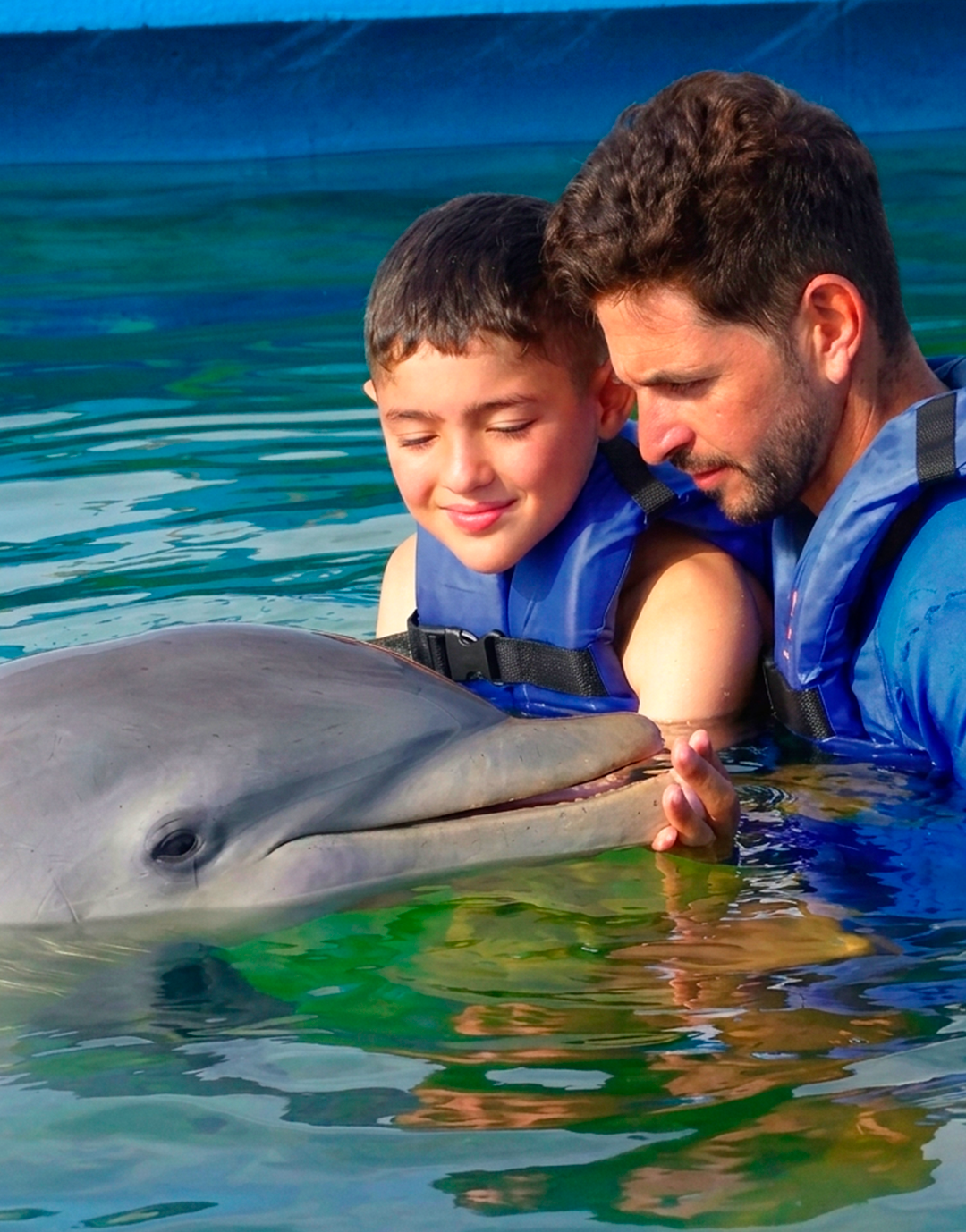 Interacción única con delfines en aguas cristalinas de Isla Margarita.