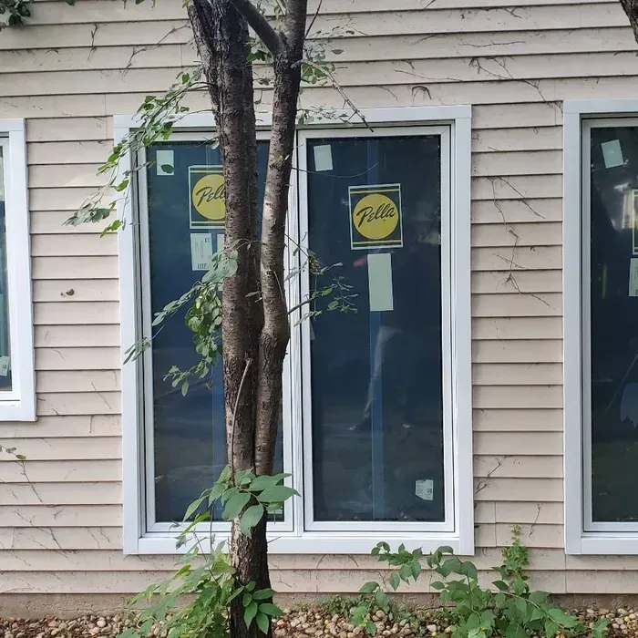 Tree in front of beige house windows with dark blue coverings and yellow signs inside