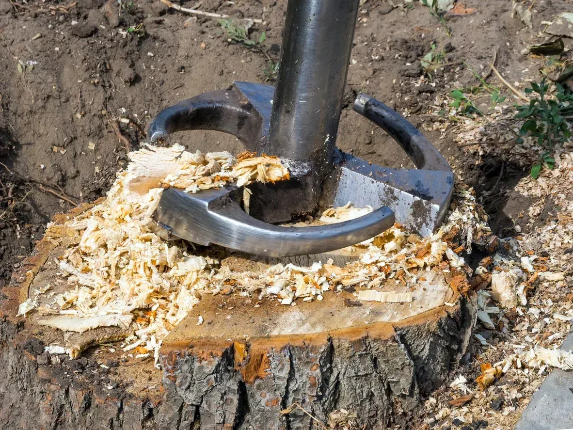 stump grinder at work in kelowna