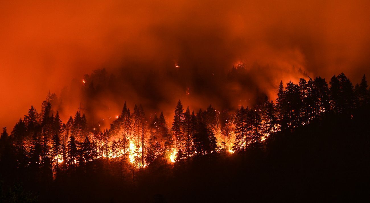 Wildfire in kelowna