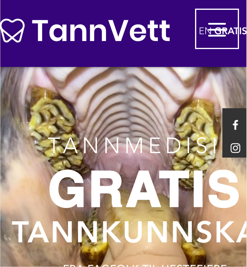 TannVett - från professionella till hästägare